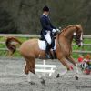 Equestrian dressage competition