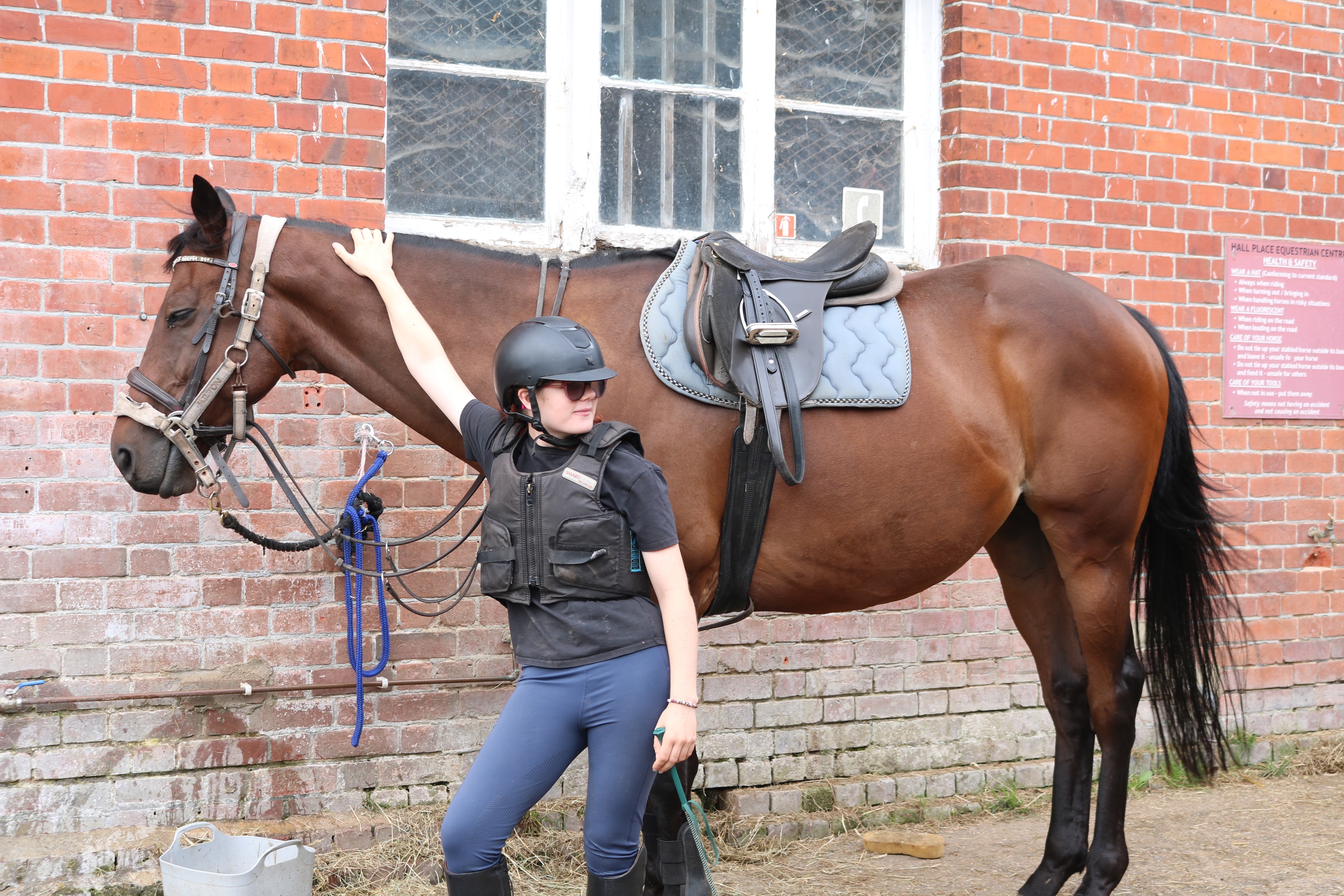 Equine assisted therapy and wellbeing